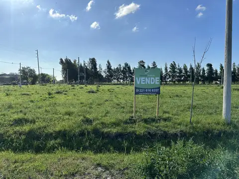 Terreno en Venta de 338,0 m2