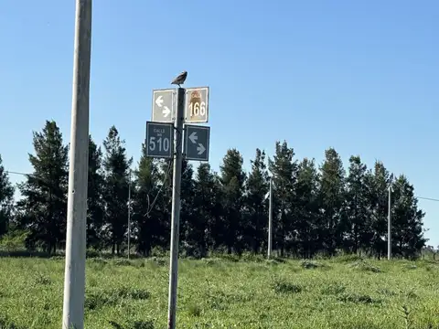 Terreno en Venta en Melchor Romero, USD 12.000