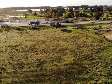 Campo venta en Las Flores. buenos aires