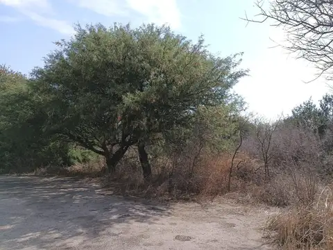 Terreno en Venta de 550,0 m2