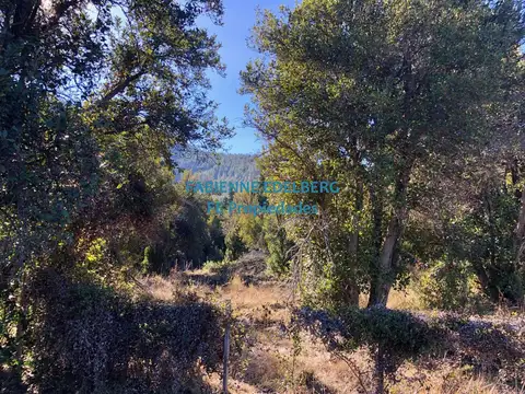 Terreno en Venta de 3000,0 m2