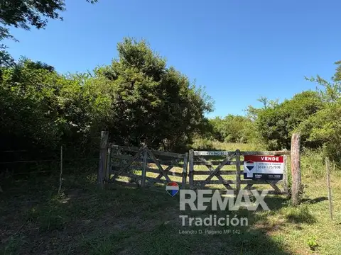CAMPO GANADERO EN VENTA – 105 HAS- LAS PALMAS