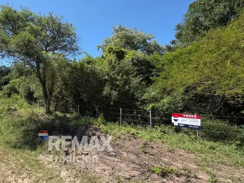 CAMPO GANADERO EN VENTA – 105 HAS- LAS PALMAS