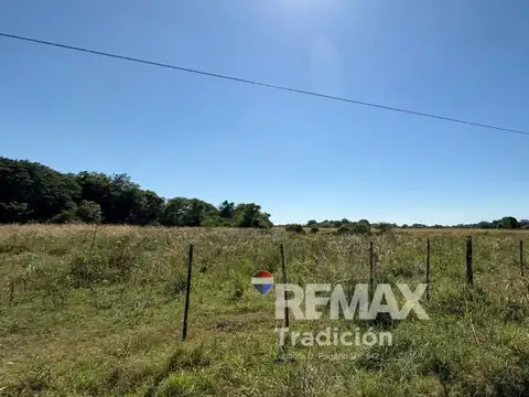 CAMPO GANADERO EN VENTA – 105 HAS- LAS PALMAS