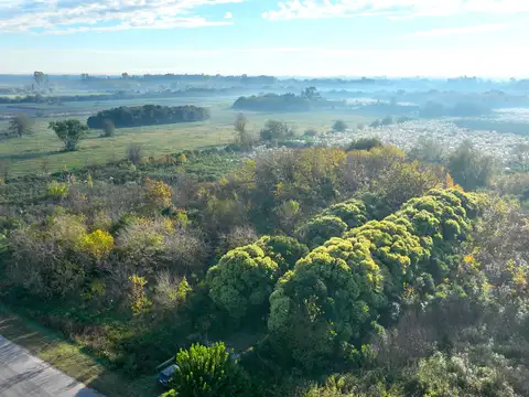 Campo en Venta de 12  ha