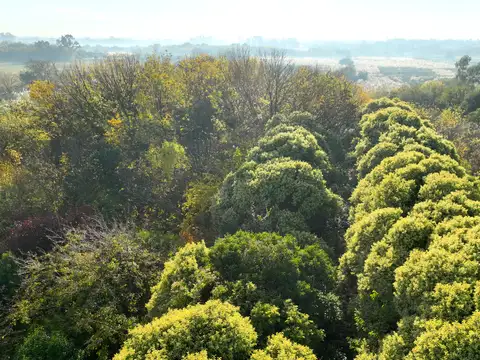 Fracción Apta Desarrollo Inmobiliario en Ruta 25 Pilar