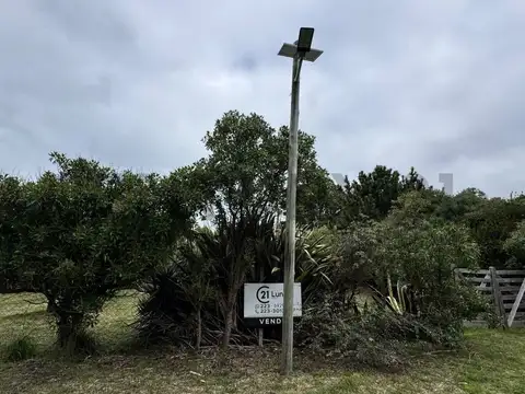 Terreno en Venta 50  mts Fondo