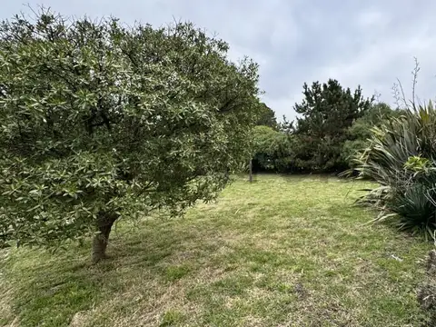 Terreno en Venta 17,77  mts Frente