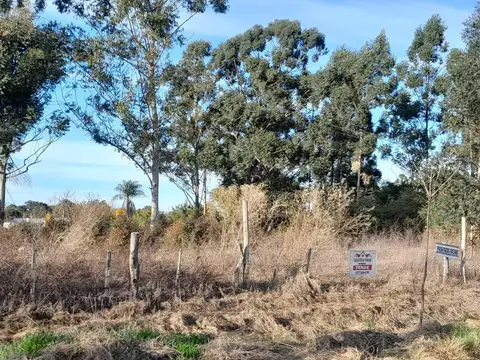 Campo en Venta Chacra