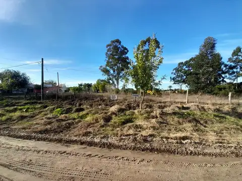Campo en Venta Chacra
