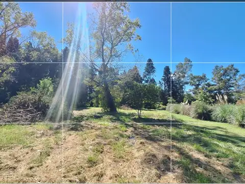 Terreno en Venta de 10668,0 m2