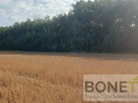 Venta de campo en la zona de Mercedes- San Andrés de Giles próximo a Autopista Ruta 7