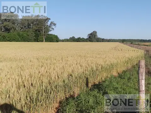 Venta de campo en la zona de Mercedes- San Andrés de Giles próximo a Autopista Ruta 7
