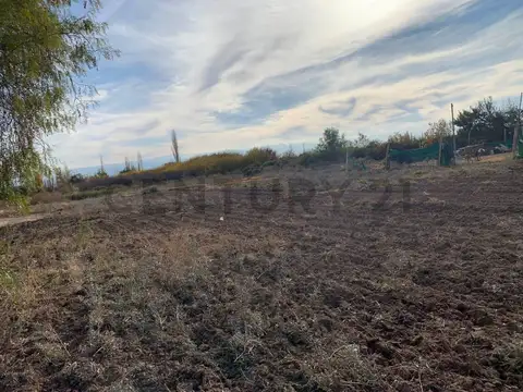 Olascoaga 2300, Piso 0