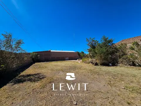 Manuel Rodriguez  al 100