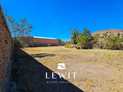 Manuel Rodriguez  al 100