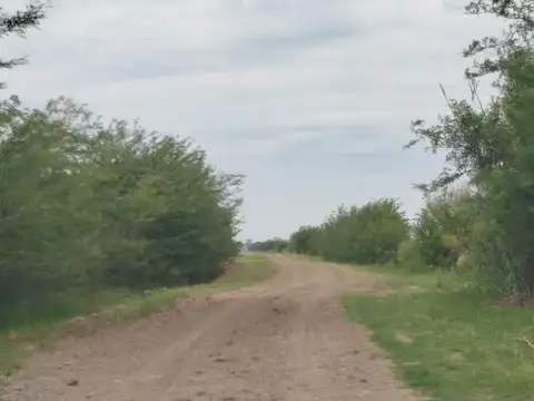 Campo en Pavon