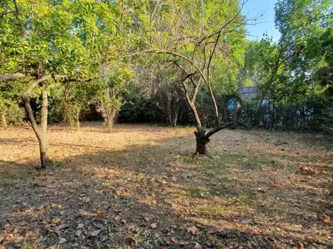 LOTE EN VENTA EN GENERAL RODRÍGUEZ