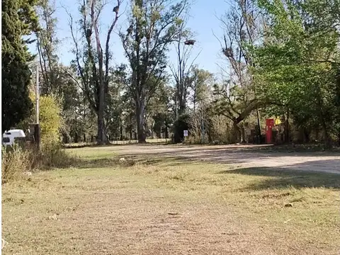 Oliveros