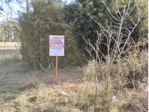 LOTE TERRENO GIGANTE 12X50 OLIVEROS