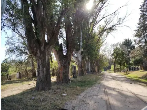 Oliveros