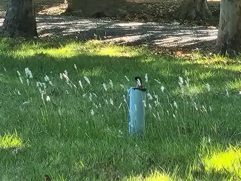 Terreno en Venta de 5284,0 m2