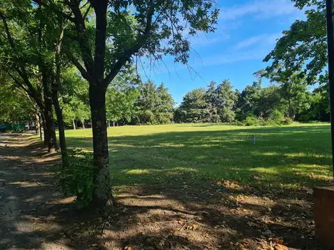 Bv. Doctor Domingo Cabred 1550 1500