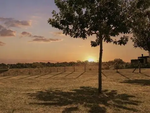 Terreno en Venta de 781,0 m2