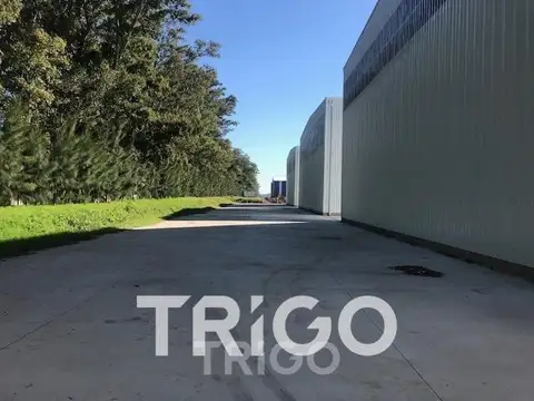 Depósito industrial en alquiler 2800m2 ROCIADORES playa dock de carga en Polo industrial Ezeiza