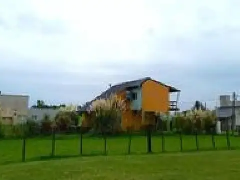 Domselaar Chico