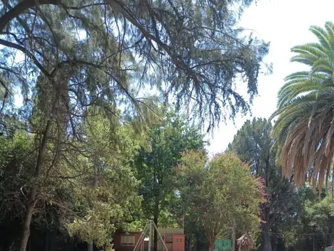 Quinta sobre terreno 7500 m2 - Pontevedra