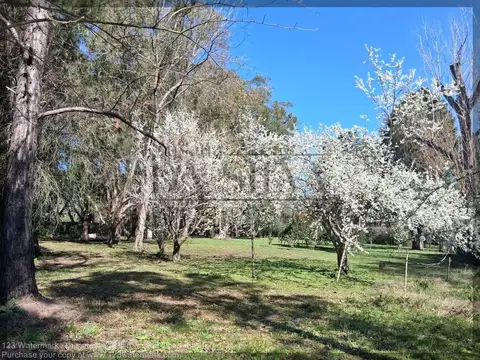 Terreno en Venta de 2516,0 m2