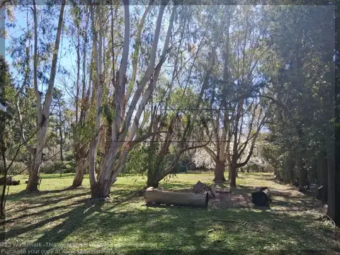 Precioso Terreno Forestado en Club de Campo El Moro. Marcos