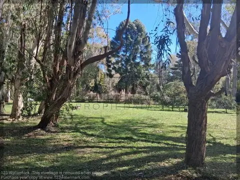 El Ombú, El Moro