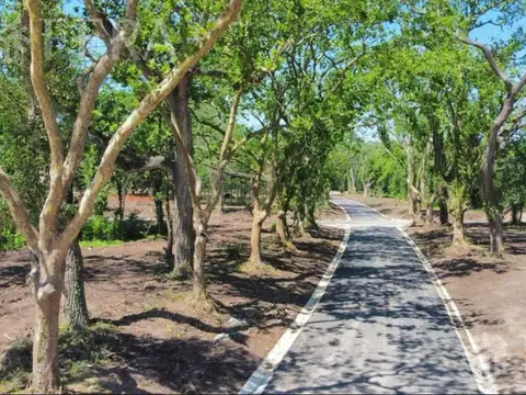 Terreno en Venta de 738,0 m2