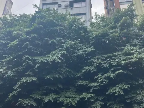 Uruguay  al 600