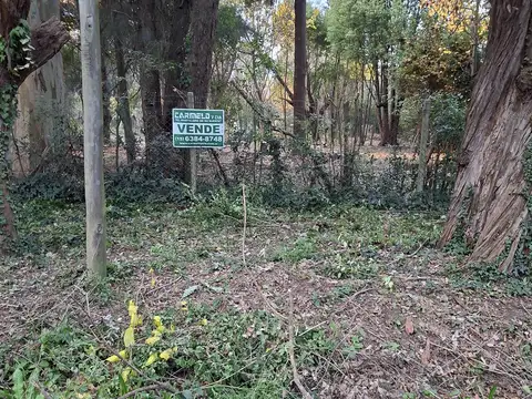 Terreno en Venta en Barrio Parque Altavista, USD 62.000