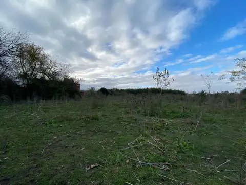 Terrenos y Lotes en Venta en Berisso [Cod: 7253-40]