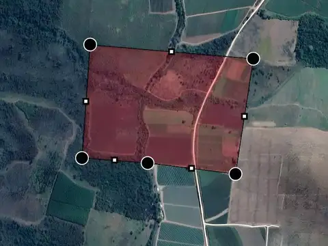 Campo en  venta en Colonia Santa Rosa