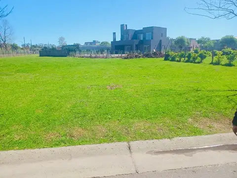 Santa Emilia, Pilar del Este, Pilar 100