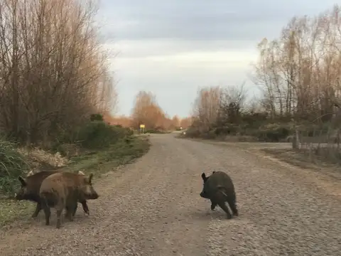 Quinta en Venta en Campana, USD 87.000