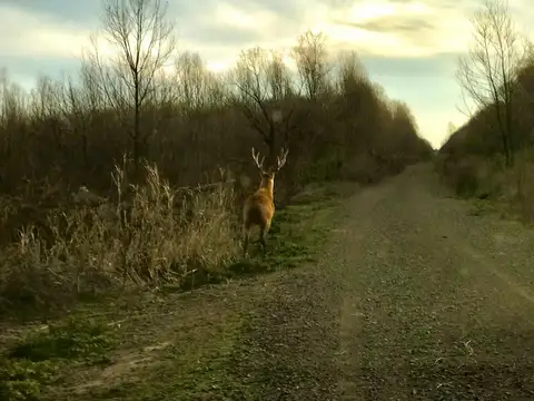 Quinta en Venta 3 años