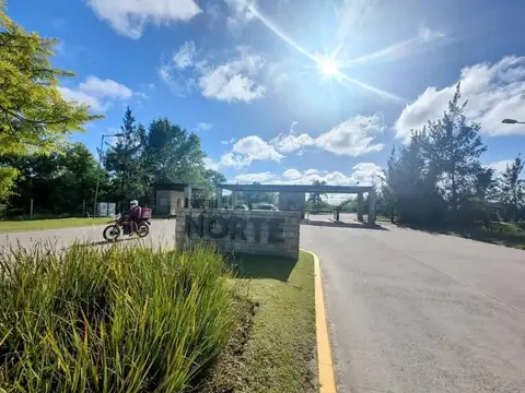 Barrio Norte - El Cazador 100