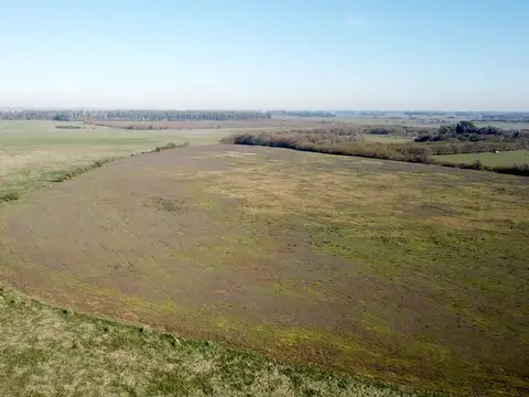 Campo en Venta de 140  ha