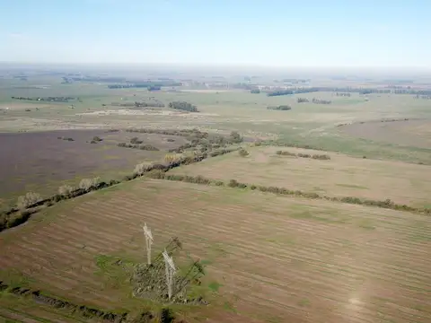 140 Has. Campo sobre Ruta 6 entre Cañuelas y Las Heras