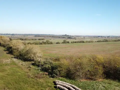 Campo en Venta Agrícola