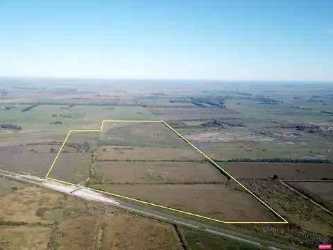 Campo en Venta Agrícola