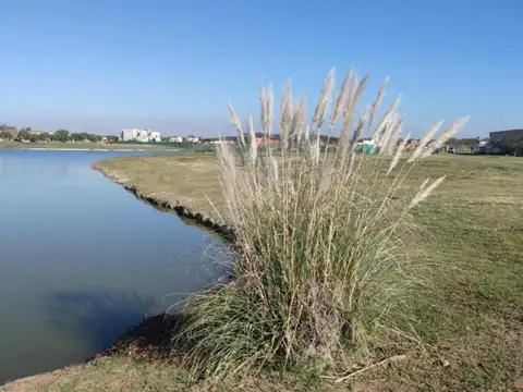 Terreno en Venta de 1100,0 m2