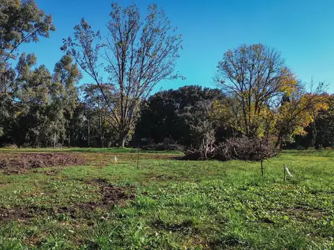 Terreno en Venta de 381,0 m2