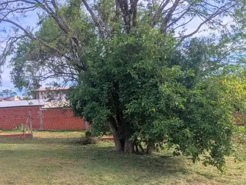Terreno en Venta de 325,0 m2